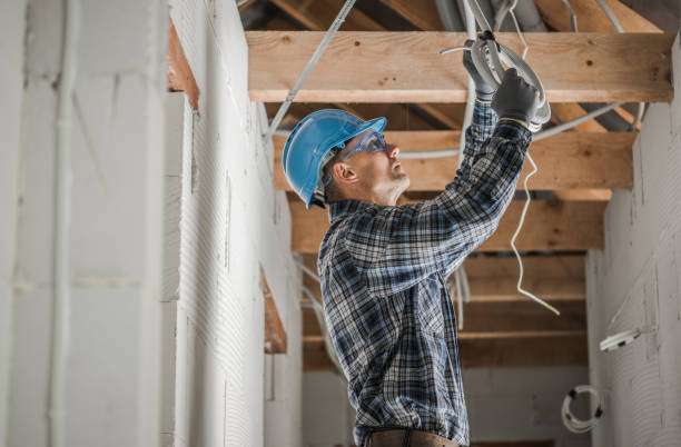 Best Generator Installation Services  in Albion, IL